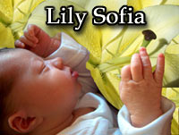 Click image to go to Lily Sofia's Pictures