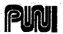 Puni
